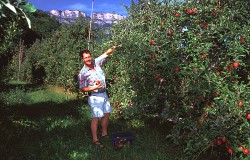 Der Kager Poldl bei der Ernte