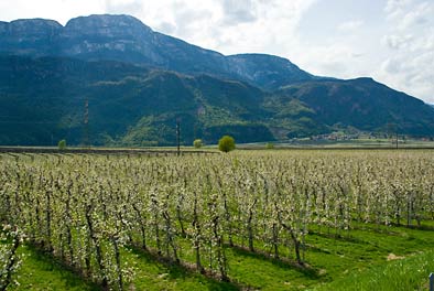 Landschaft in wei