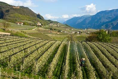 Blick Richtung Boymont, Korb und Hocheppan