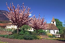 St.  Anna-Kirche in St. Michael