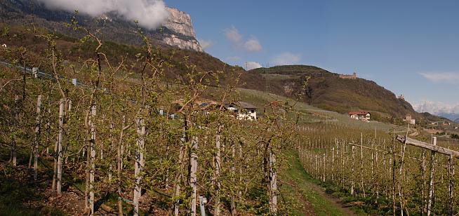 zurck zum April 2004