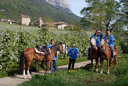 Burgenritt06_40 Burgenritt06_40