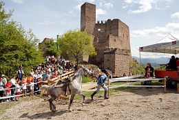 Burgenritt06_54 Burgenritt06_54