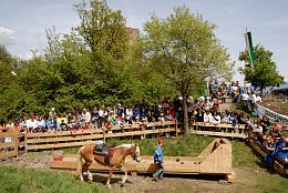 Burgenritt06_55 Burgenritt06_55