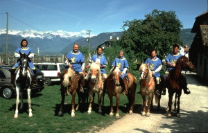 Guppenbild in Schreckbichl