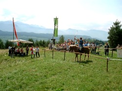 Apfelschu auf dem Kreuzstein