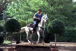 Kellerritt in Girlan