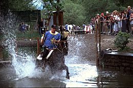 Fischstechen am Montiggler See