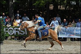 Burgenritt2008_DSC_5542