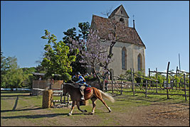 Burgenritt2008_DSC_6125 Burgenritt2008_DSC_6125