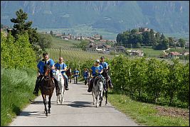 Burgenritt2008_DSC_6348 Burgenritt2008_DSC_6348