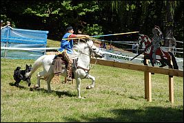 Burgenritt2008_DSC_6390 Burgenritt2008_DSC_6390