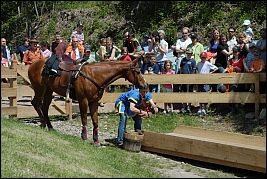 Burgenritt2008_DSC_6504 Burgenritt2008_DSC_6504
