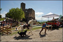 Burgenritt2008_DSC_6529 Burgenritt2008_DSC_6529