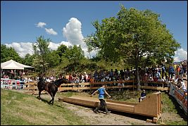 Burgenritt2008_DSC_6541 Burgenritt2008_DSC_6541