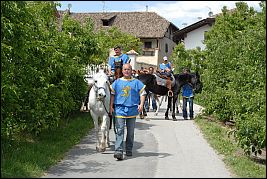 Burgenritt2008_DSC_6611 Burgenritt2008_DSC_6611