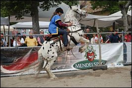 Burgenritt2009_DSC_0465