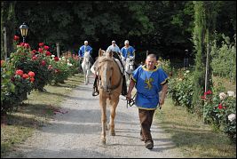 Burgenritt2009_DSC_1487 Burgenritt2009_DSC_1487