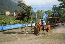 Burgenritt2009_DSC_1629 Burgenritt2009_DSC_1629