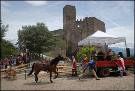 Burgenritt2009_DSC_1881 Burgenritt2009_DSC_1881