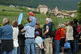 DSC_0175_bscr DSC_0175_bscr