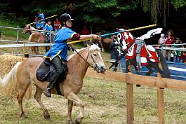 DSC_0340_bscr DSC_0340_bscr