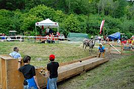 DSC_0520_bscr DSC_0520_bscr