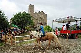 DSC_0532_bscr DSC_0532_bscr