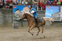 DSC_0595_bscr DSC_0595_bscr