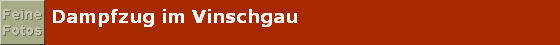 Dampfzug im Vinschgau