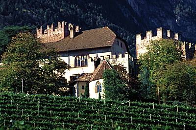 Detail-Freudenstein1
