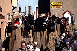 die Schnappviecher kommen