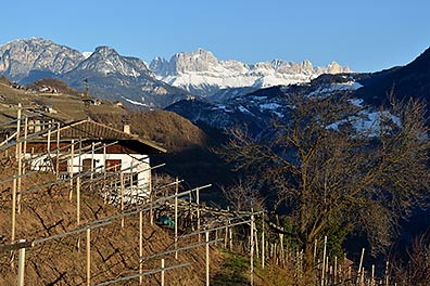 Rittner Weinberge mit Rosengarten