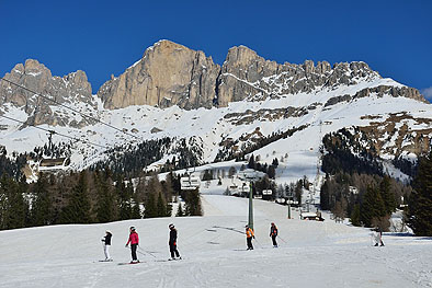 Winter am Rosengarten