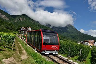 die Mendelbahn