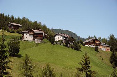 Hfegruppe (viles) bei Untermoi