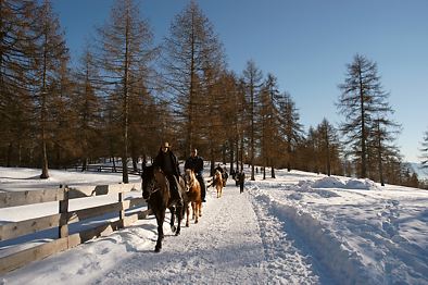 Reitvergngen auf dem Salten