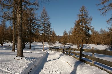 der Fernwanderweg ber den Salten