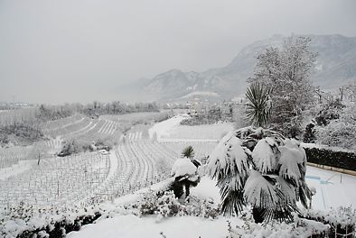 Eppaner Winterlandschaft