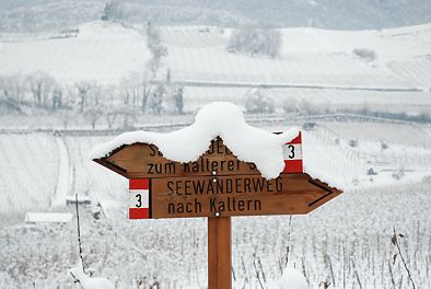 verschneiter Wanderweg