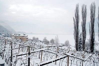 am Kalterer See