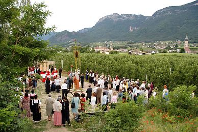 1. Lesung im Paulsner Feld