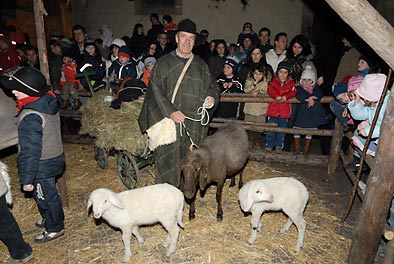Hirte mit Schafen