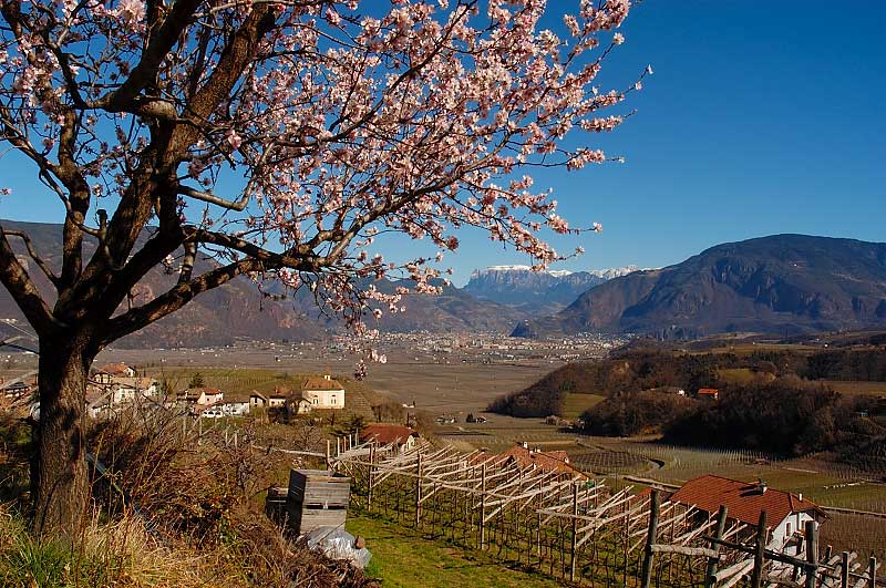 Blick nach Bozen