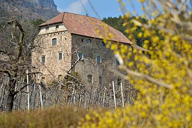 Burg Montan