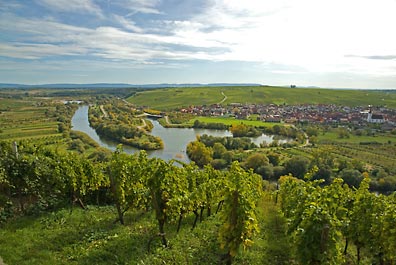 die Mainschleife bei Volkach