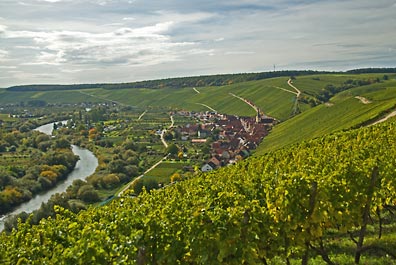 Escherndorf an der Mainschleife