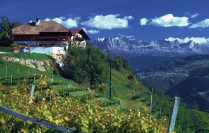 Der Baumannhof vor dem Rosengarten