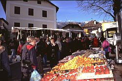 Frisches Obst und Gemse