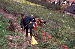 Im Weinberg beim Mauracher Hans